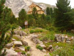 2013-08-18_Regina-F-Rau_Schachen_Alpengarten (726).JPG